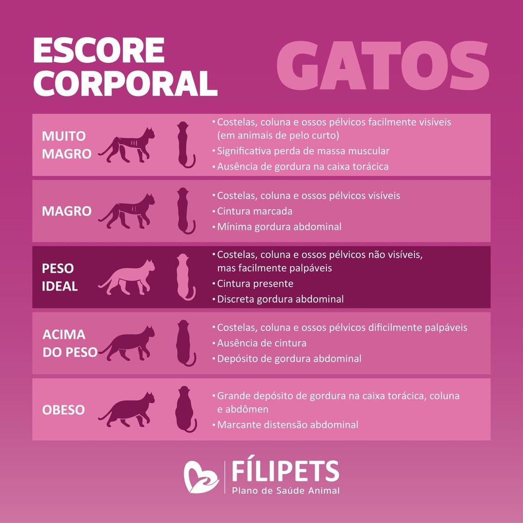 escore_gatos